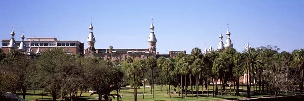 Trees in a campusPlant Park, University of Tampa, Tampa, Hillsborough County, Florida, USA