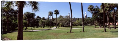 Trees in a campusPlant Park, University of Tampa, Tampa, Hillsborough County, Florida, USA Canvas Art Print - Tampa Bay Art