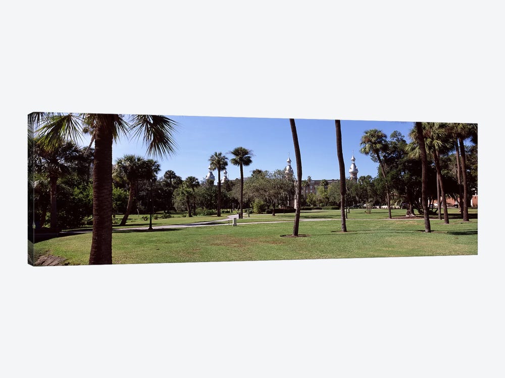 Trees in a campusPlant Park, University of Tampa, Tampa, Hillsborough County, Florida, USA by Panoramic Images 1-piece Art Print
