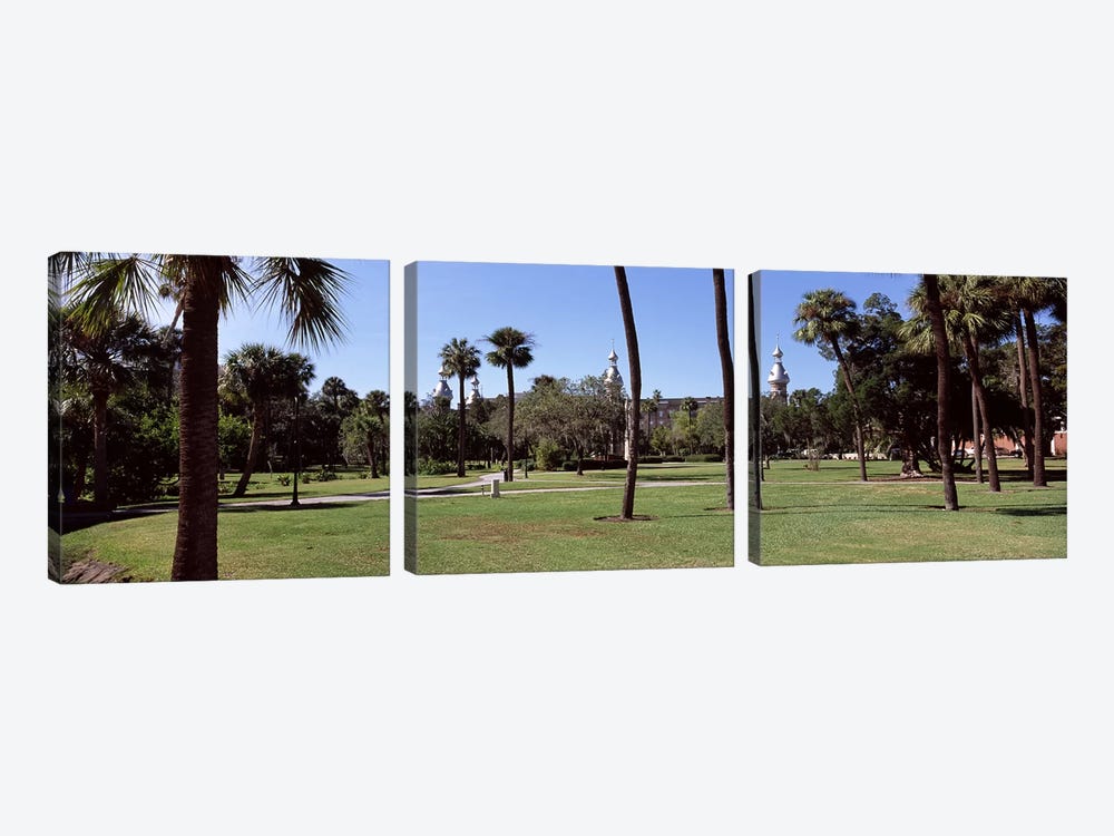 Trees in a campusPlant Park, University of Tampa, Tampa, Hillsborough County, Florida, USA by Panoramic Images 3-piece Canvas Art Print