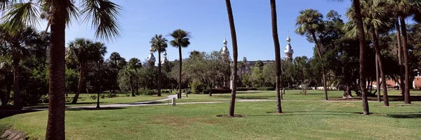 City Parks: Trees in a campusPlant Park, University of Tampa, Tampa, Hillsborough County, Florida, USA by Panoramic Images