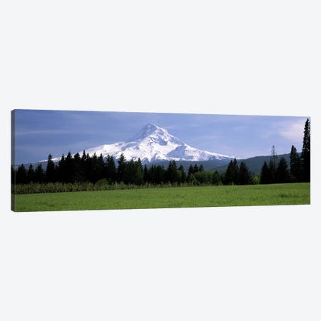 Forested Landscape With A Snow-Covered Mountt Hood (Wy'east) In The Background, Oregon, USA Canvas Print #PIM7790} by Panoramic Images Canvas Art Print