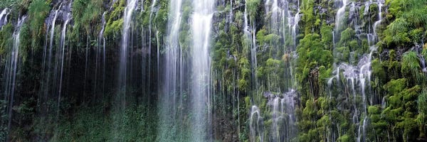 Sacramento: Waterfall, Mossbrae Falls, Sacramento River, Dunsmuir, Siskiyou County, California, USA by Panoramic Images
