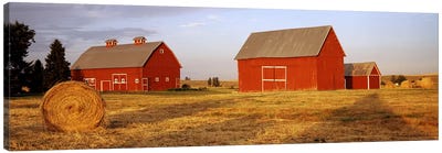 Red barns in a farm, Palouse, Whitman County, Washington State, USA Canvas Art Print - Farm Art
