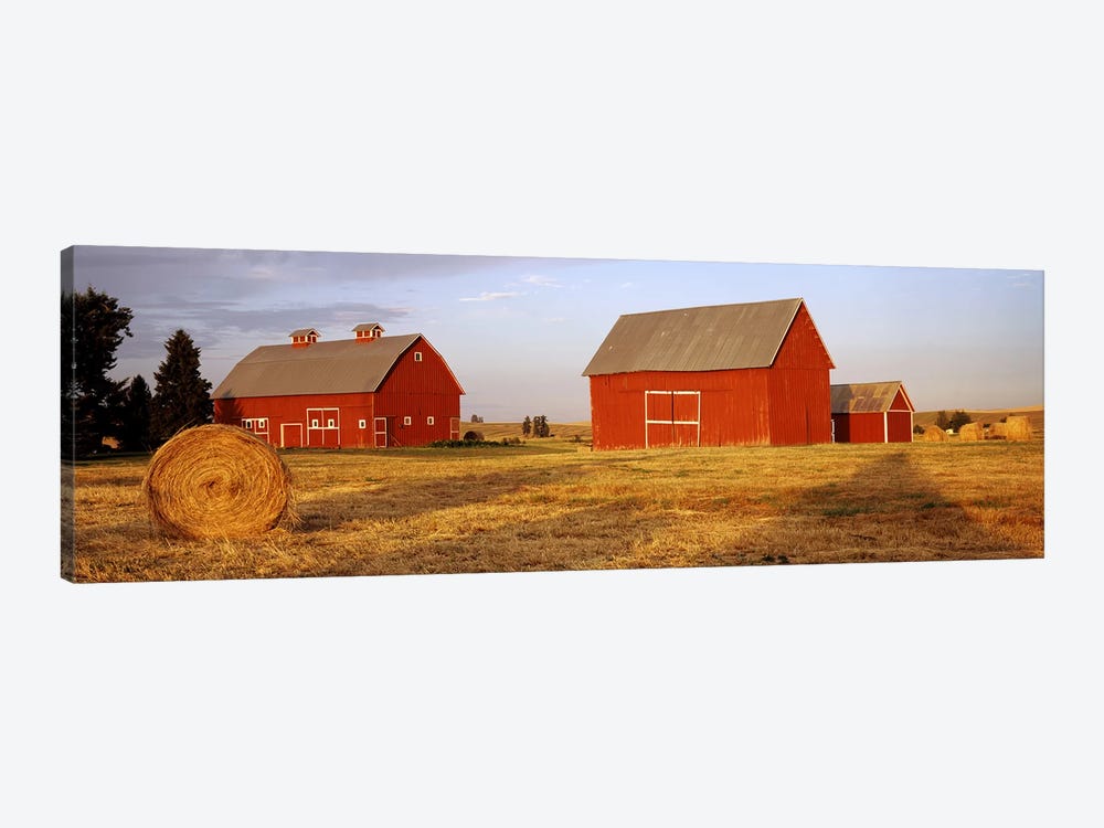 Red barns in a farm, Palouse, Whitman County, Washington State, USA by Panoramic Images 1-piece Canvas Artwork