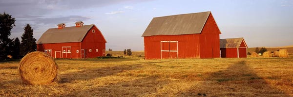 Photography: Red barns in a farm, Palouse, Whitman County, Washington State, USA by Panoramic Images