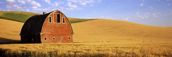 Photography: Old barn in a wheat field, Palouse, Whitman County, Washington State, USA #3 by Panoramic Images