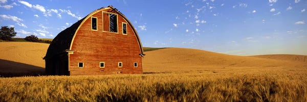 Washington: Old barn in a wheat field, Palouse, Whitman County, Washington State, USA #4 by Panoramic Images