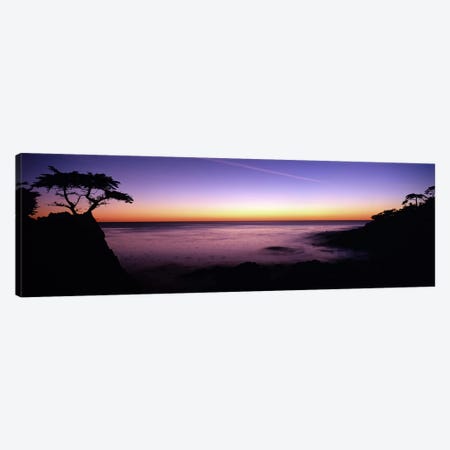 Majestic Coastal Landscape, 17-Mile Drive, Pebble Beach, Monterey County, California, USA Canvas Print #PIM7815} by Panoramic Images Canvas Art Print