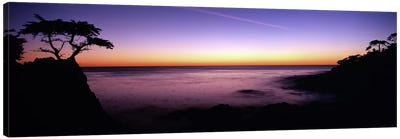 Majestic Coastal Landscape, 17-Mile Drive, Pebble Beach, Monterey County, California, USA Canvas Art Print - Monterey