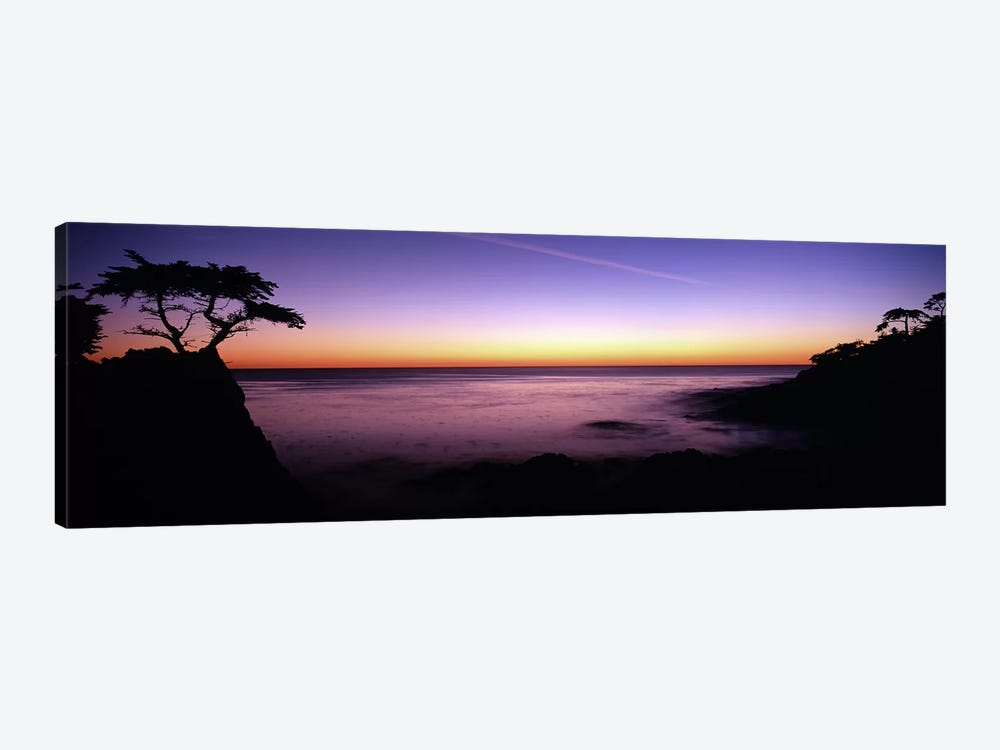 Majestic Coastal Landscape, 17-Mile Drive, Pebble Beach, Monterey County, California, USA by Panoramic Images 1-piece Art Print