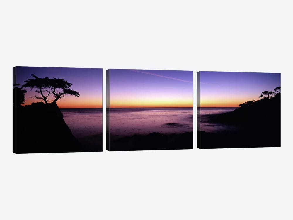 Majestic Coastal Landscape, 17-Mile Drive, Pebble Beach, Monterey County, California, USA by Panoramic Images 3-piece Art Print