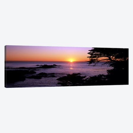 Sunset over the sea, Point Lobos State Reserve, Carmel, Monterey County, California, USA Canvas Print #PIM7817} by Panoramic Images Canvas Art Print