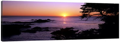 Sunset over the sea, Point Lobos State Reserve, Carmel, Monterey County, California, USA Canvas Art Print - Monterey