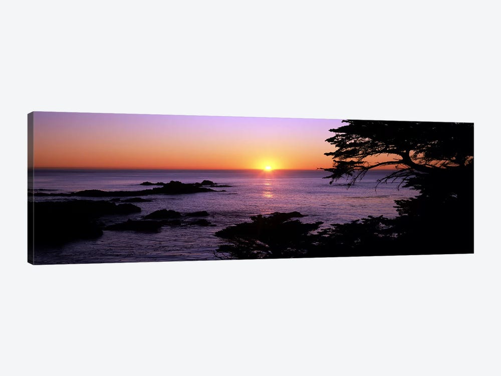 Sunset over the sea, Point Lobos State Reserve, Carmel, Monterey County, California, USA by Panoramic Images 1-piece Art Print