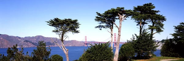 San Francisco: Suspension bridge across a bay, Golden Gate Bridge, San Francisco Bay, San Francisco, California, USA #2 by Panoramic Images