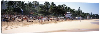 Tourists on the beach, North Shore, Oahu, Hawaii, USA Canvas Art Print - Palm Tree Art