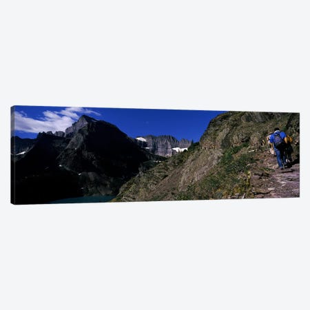 Hikers hiking on a mountain, US Glacier National Park, Montana, USA Canvas Print #PIM7882} by Panoramic Images Art Print