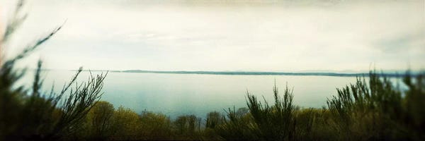 Magnolias: Park along an inlet, Puget Sound, Discovery Park, Magnolia, Seattle, Washington State, USA by Panoramic Images