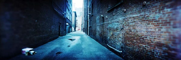 Seattle: Buildings along an alley, Pioneer Square, Seattle, Washington State, USA by Panoramic Images