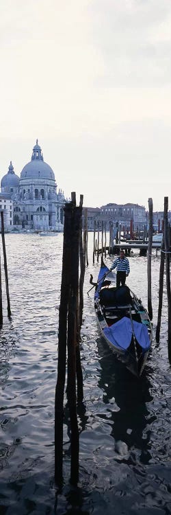 Gondolier in a gondola with a cathedral in the background, Santa Maria Della Salute, Venice, Veneto, Italy