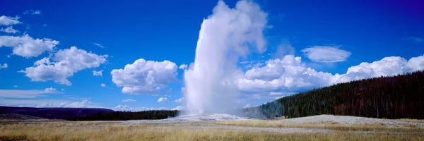 Wyoming: A Cloudy Day's Eruption, Old Faithful, Upper Geyser Basin, Yellowstone National Park, Wyoming, USA by Panoramic Images