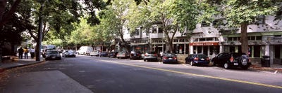 Cars parked at the roadsideCollege Avenue, Claremont, Oakland, Alameda County, California, USA by Panoramic Images canvas print