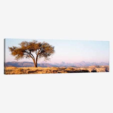 Lone Tree In An Arid Landscape, Mehakelegnaw, Tigray Region, Ethiopia Canvas Print #PIM794} by Panoramic Images Art Print