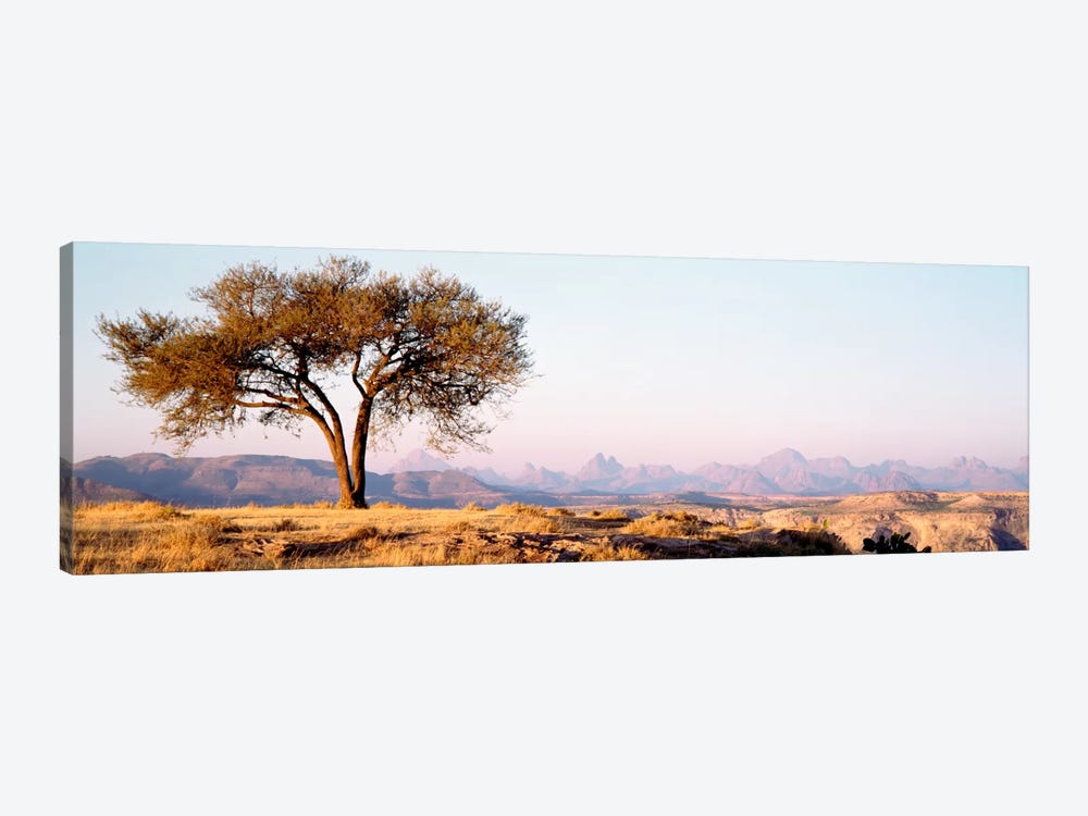 Lone Tree In An Arid Landscape, Mehakelegnaw, Tigray Region, Ethiopia by Panoramic Images 1-piece Canvas Artwork