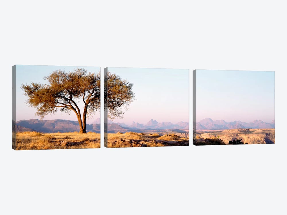 Lone Tree In An Arid Landscape, Mehakelegnaw, Tigray Region, Ethiopia by Panoramic Images 3-piece Canvas Wall Art