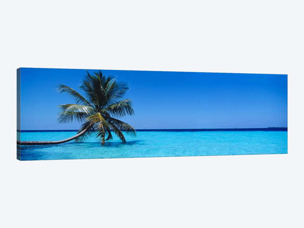 Tropical Seascape With A Lone Palm Tree, Republic Of Maldives by Panoramic Images 1-piece Canvas Art