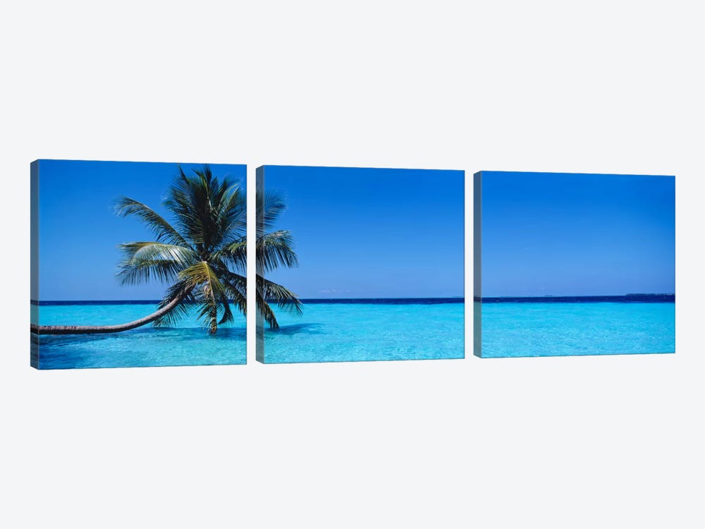 Tropical Seascape With A Lone Palm Tree, Republic Of Maldives by Panoramic Images 3-piece Canvas Artwork