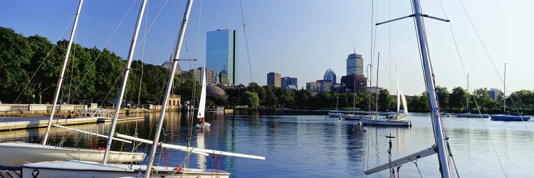 Sailboats in a river with city in the background, Charles River, Back Bay, Boston, Suffolk County, Massachusetts, USA