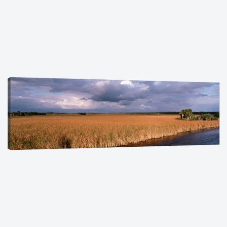 USAFlorida, Big Cypress National Preserve along Tamiami Trail Everglades National Park Canvas Print #PIM799} by Panoramic Images Canvas Art