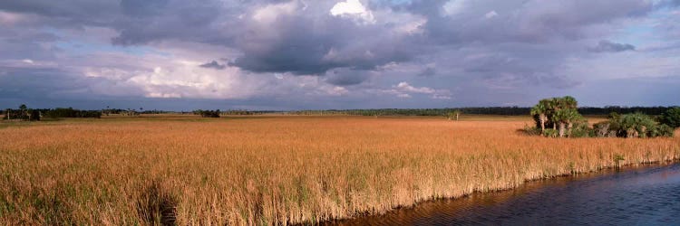 USAFlorida, Big Cypress National Preserve along Tamiami Trail Everglades National Park