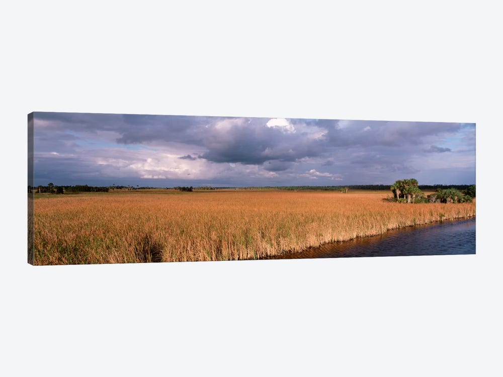 USAFlorida, Big Cypress National Preserve along Tamiami Trail Everglades National Park by Panoramic Images 1-piece Canvas Art Print