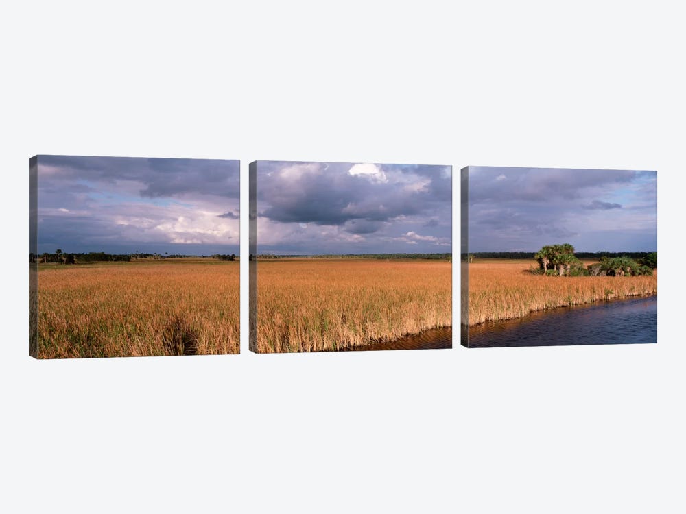 USAFlorida, Big Cypress National Preserve along Tamiami Trail Everglades National Park by Panoramic Images 3-piece Canvas Print