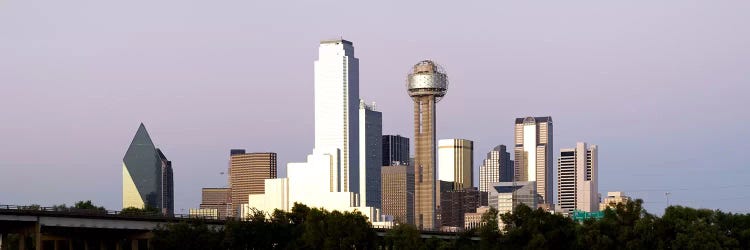 Skyscrapers in a city, Reunion Tower, Dallas, Texas, USA #5