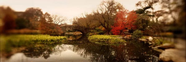 Manhattan: Pond in a park, Central Park, Manhattan, New York City, New York State, USA by Panoramic Images