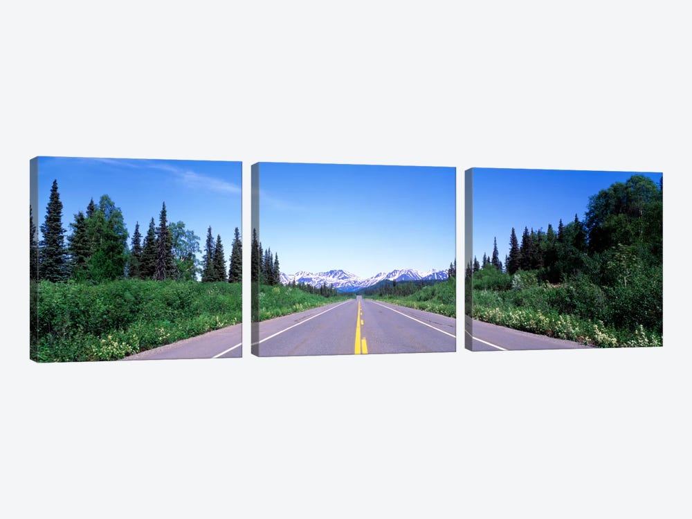 George Parks Highway AK by Panoramic Images 3-piece Canvas Art Print