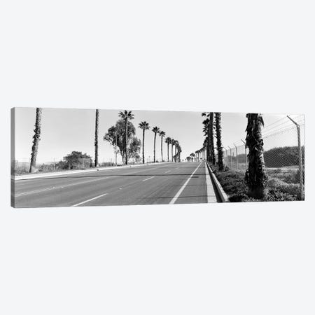 Palm trees along a roadSan Diego, California, USA Canvas Print #PIM8071} by Panoramic Images Canvas Artwork