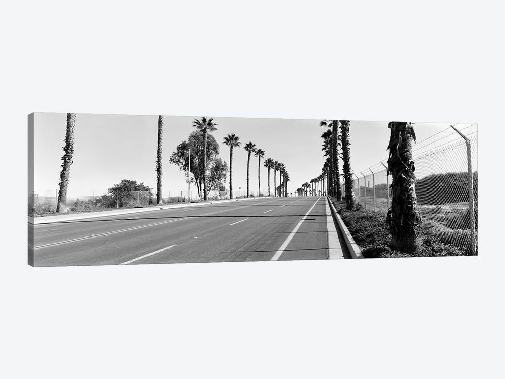 Palm trees along a roadSan Diego, California, USA by Panoramic Images 1-piece Art Print