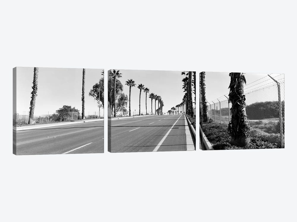 Palm trees along a roadSan Diego, California, USA by Panoramic Images 3-piece Art Print