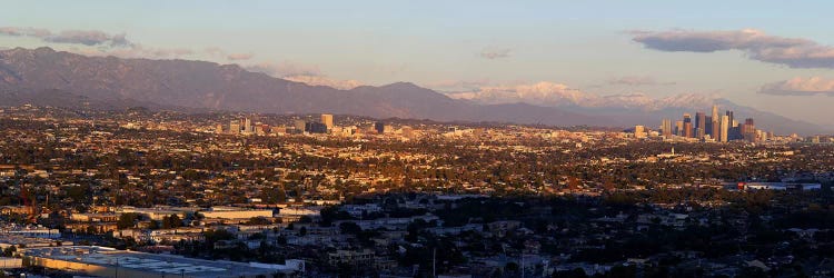 Buildings in a cityLos Angeles, California, USA by Panoramic Images wall art