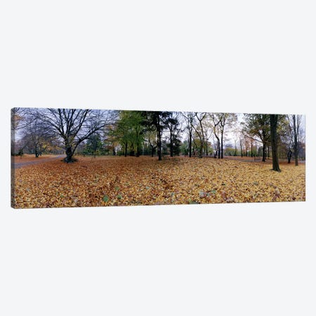 360 degree view of an urban park, Central Park, Manhattan, New York City, New York State, USA Canvas Print #PIM8105} by Panoramic Images Art Print