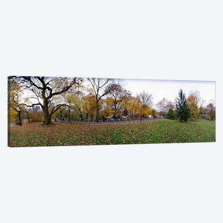 Trees in a park, Central Park, Manhattan, New York City, New York State, USA #4 Canvas Print #PIM8109} by Panoramic Images Canvas Artwork
