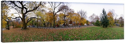Trees in a park, Central Park, Manhattan, New York City, New York State, USA #4 Canvas Art Print - Landmarks & Attractions