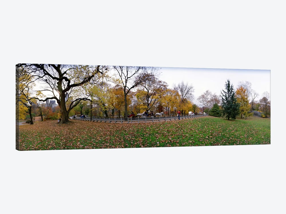 Trees in a park, Central Park, Manhattan, New York City, New York State, USA #4 by Panoramic Images 1-piece Canvas Art Print