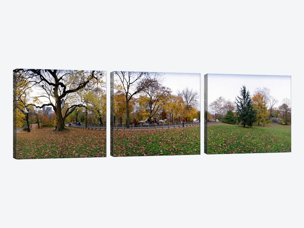 Trees in a park, Central Park, Manhattan, New York City, New York State, USA #4 by Panoramic Images 3-piece Canvas Art Print