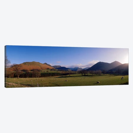 Valley Northern Lake District Cumbria Newlands England Canvas Print #PIM810} by Panoramic Images Canvas Print